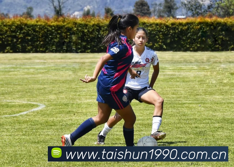 开云官方网站app下载入口平台生态图