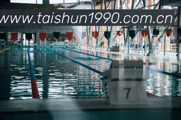 开云官方网站app下载入口APP 封面图